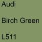 Preview: Audi, Birch Green, L511.